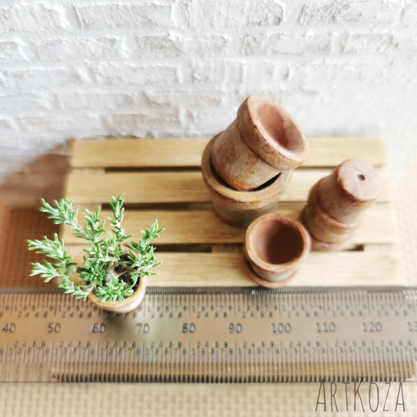 Rosemary in the pot | ArtKoza Miniatures