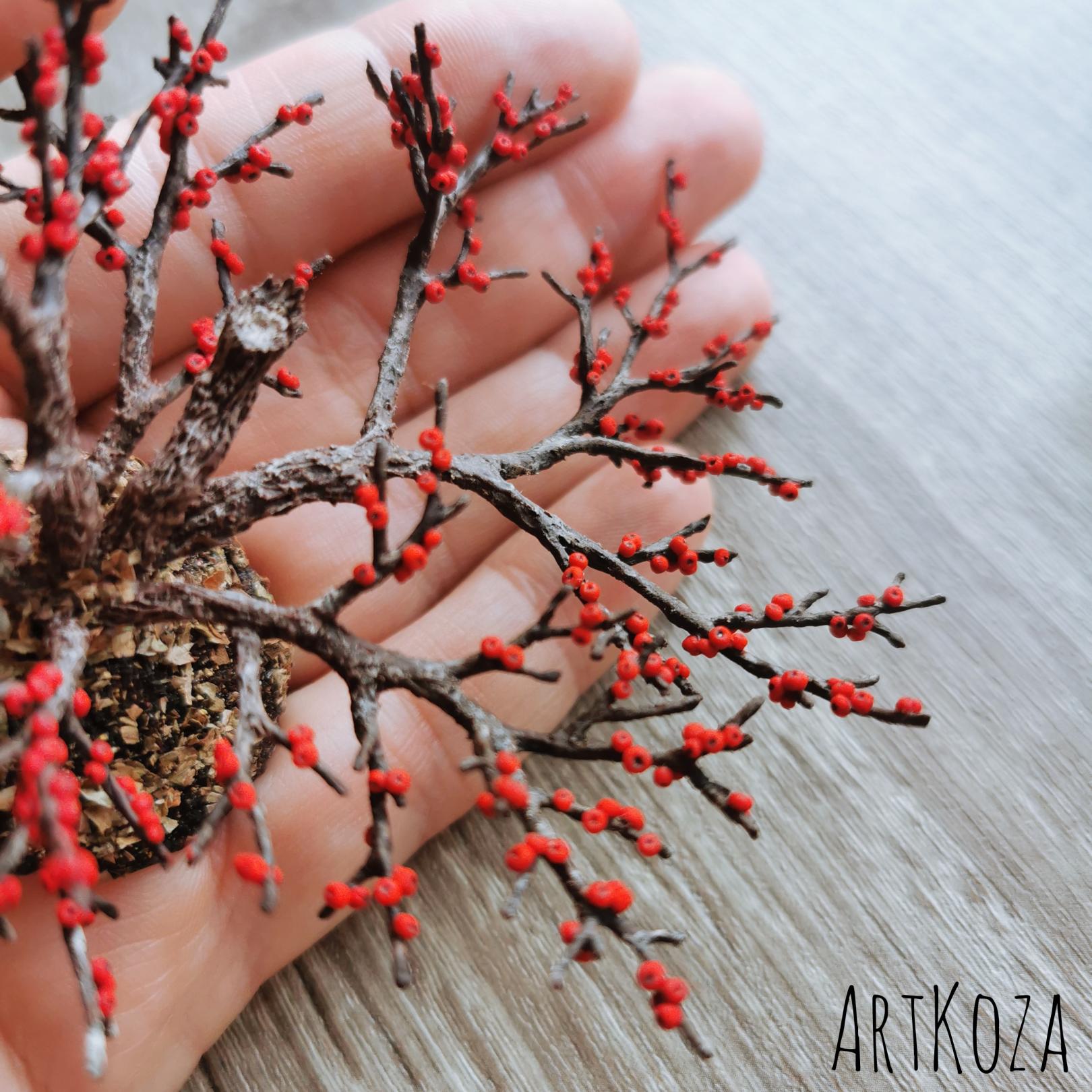 Miniature winterberry old bush Miniature winterberry old bush