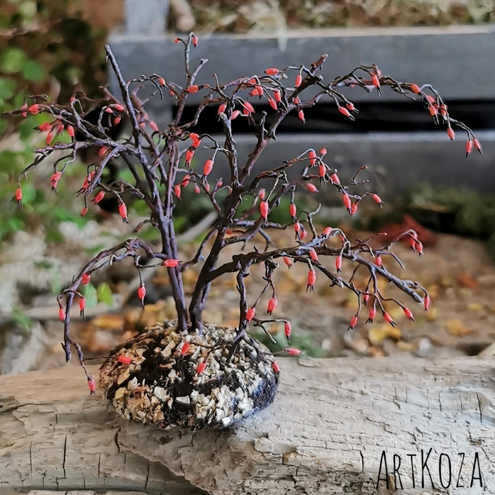 Miniature rosehip bush