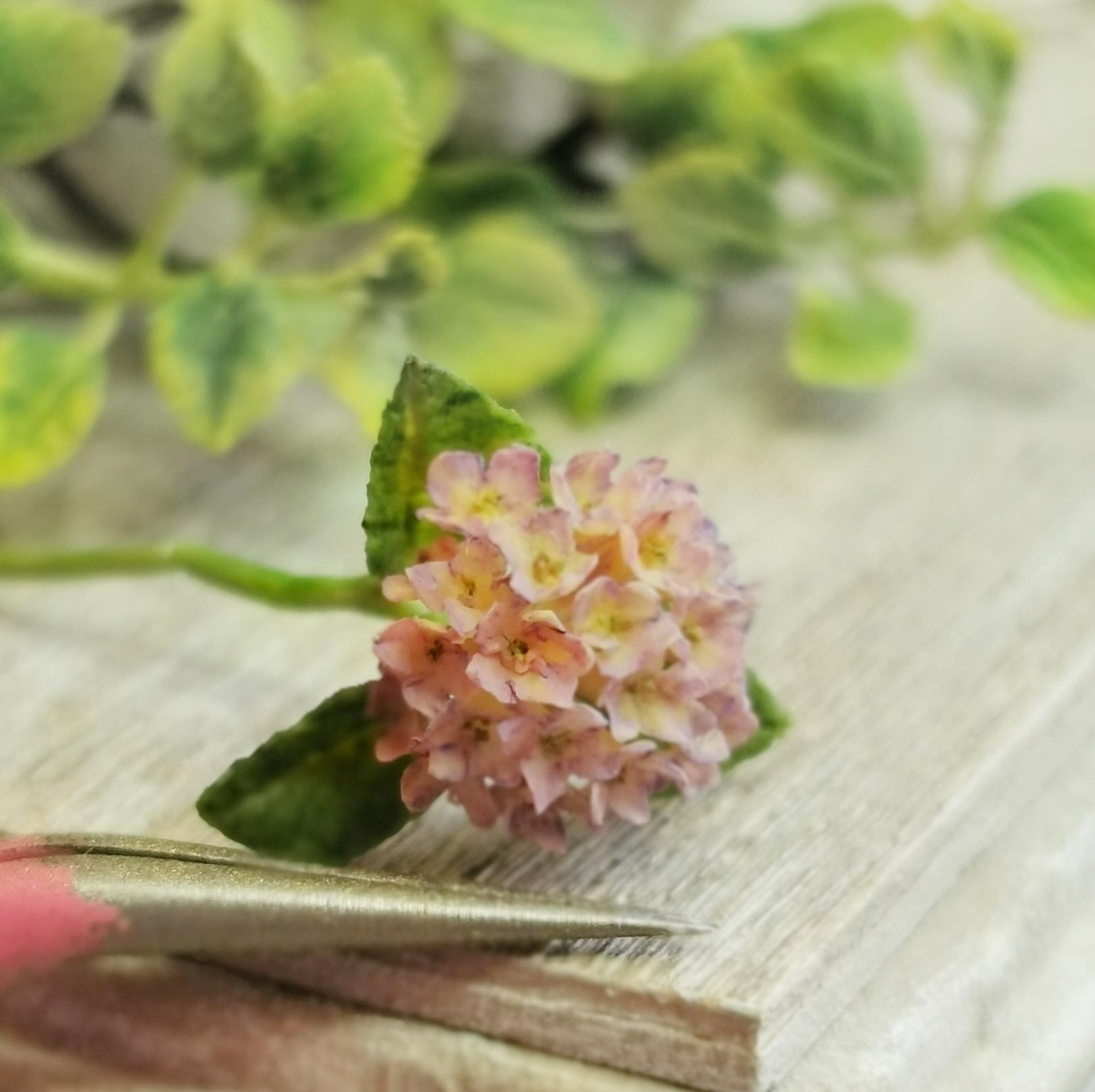 Hydrangea flowers. Purple