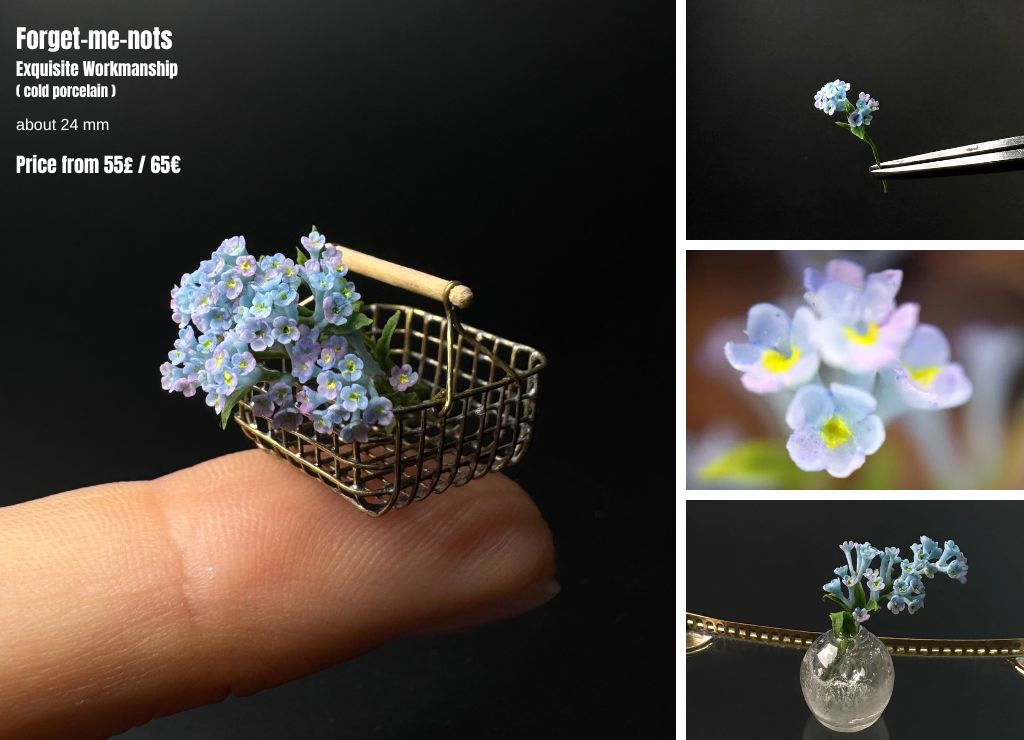 Forget-me-nots in a pot